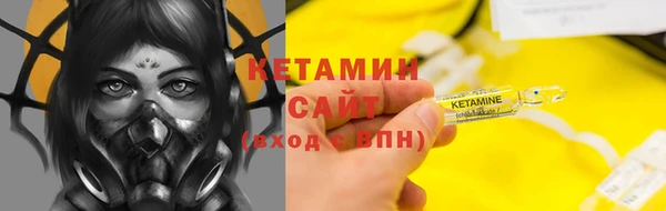 шишки Переславль-Залесский