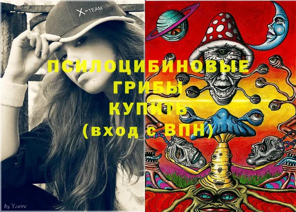 спайс Пестово