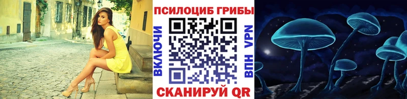 ОМГ ОМГ онион  Мурино  Псилоцибиновые грибы Cubensis 
