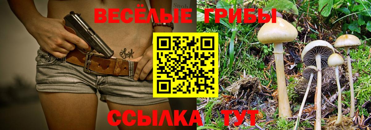 Псилоцибиновые грибы Psilocybe Мурино
