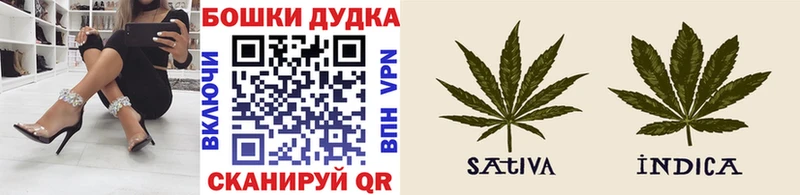 KRAKEN   площадка какой сайт  Каннабис планчик  Мурино 